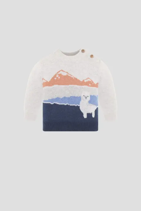Choupette: Свитер