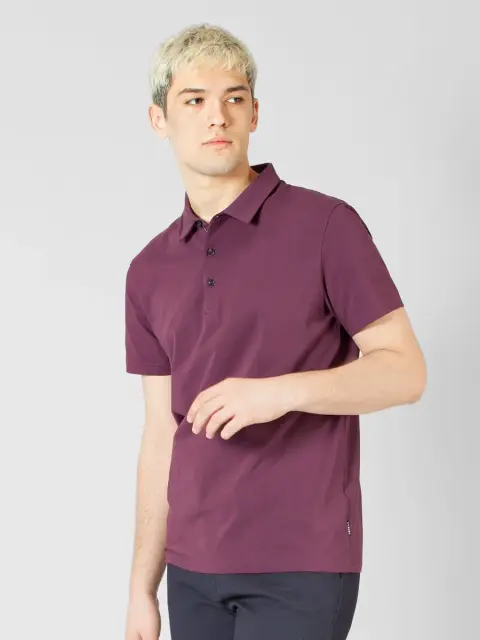 Peplos: Рубашка-поло мужская TS22012-P фиолетовый