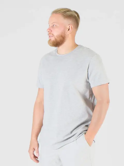 Peplos: Футболка мужская TS-BR-4/2 серый